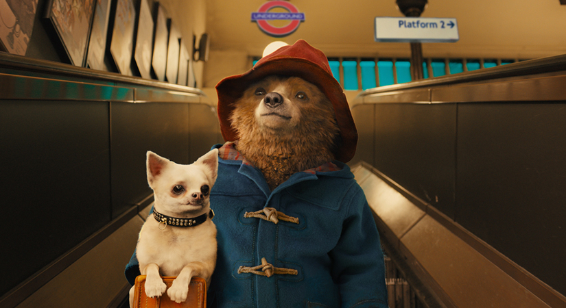 Bild zum Film Paddington