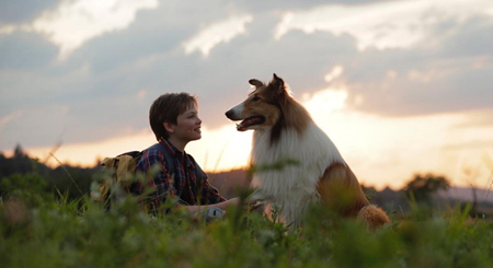 Bild zum Film Lassie - Ein neues Abenteuer